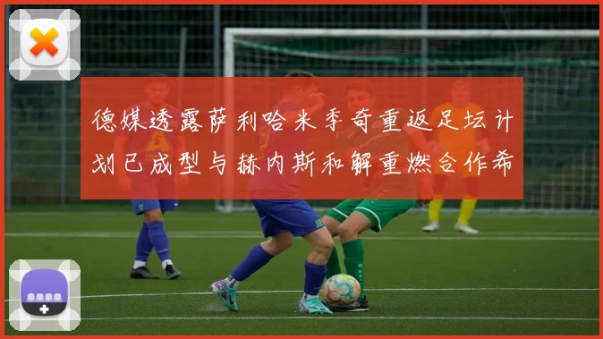 德媒透露萨利哈米季奇重返足坛计划已成型与赫内斯和解重燃合作希望